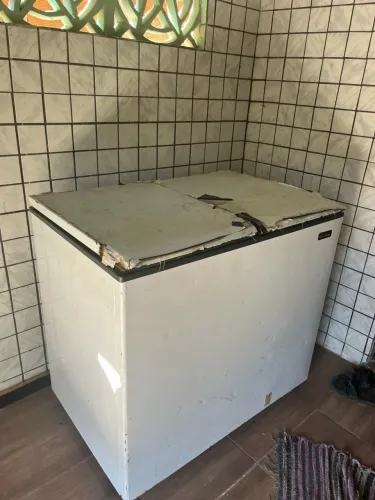 Frizzer 2 porta (Valor negociável)