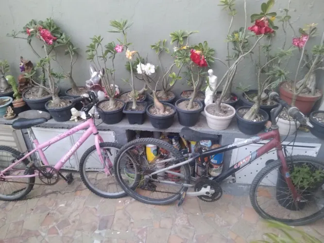 bicicleta caloi aro 24 outra folks aro 20