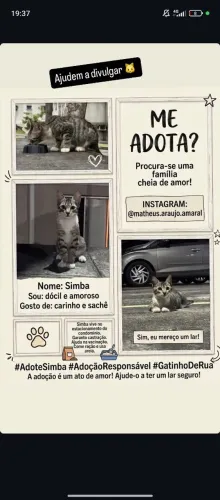 Doação 