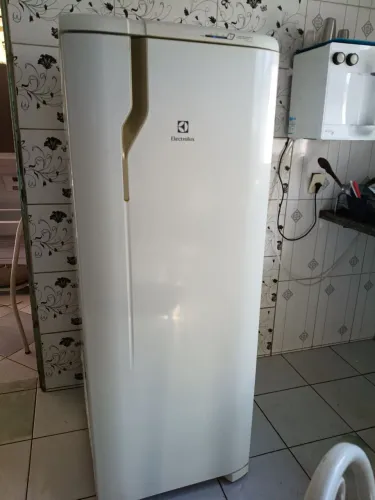 Geladeira Eletrolux Frost Free 322 litros