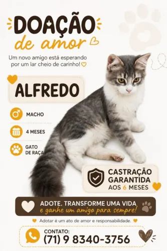 Um coraçãozinho à espera de um lar