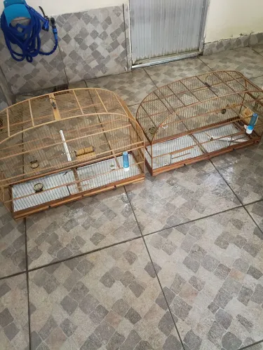 DUAS GAIOLAS VOADEIRA 80