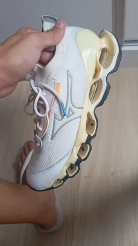 Mizuno wave prophecy B