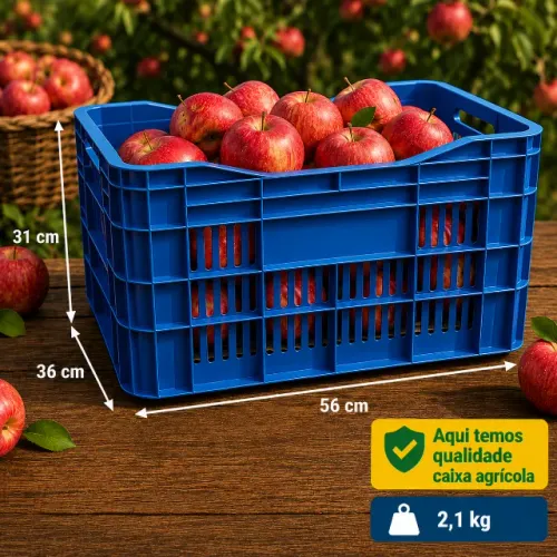 Caixa Plástica Hortifruti uso em geral Direto da fábrica 
