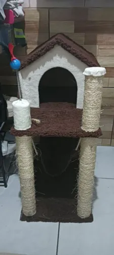 Casinha de gato