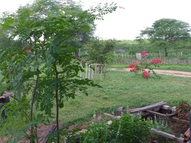 Fazenda com 169 hectares em São Pedro do Potengi