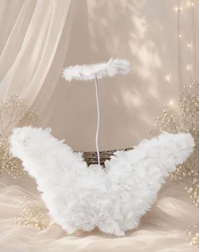 ASA DE ANJO