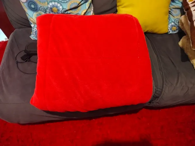 Vendo cobertor e duas almofadas