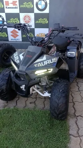 Quadriciclo Fun Taurus 110
