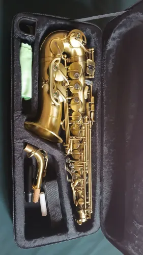 Sax Alto escovado novo