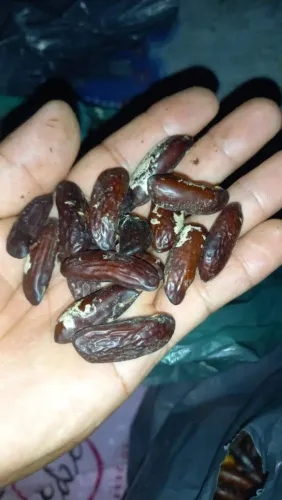 Compramos cumaru