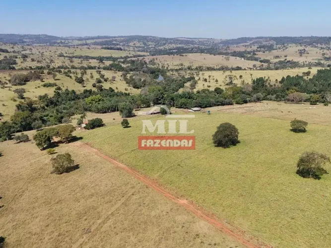 Fazenda dupla aptidão próximo à Goiânia. Área total: 27 alqueire e 54 litros.