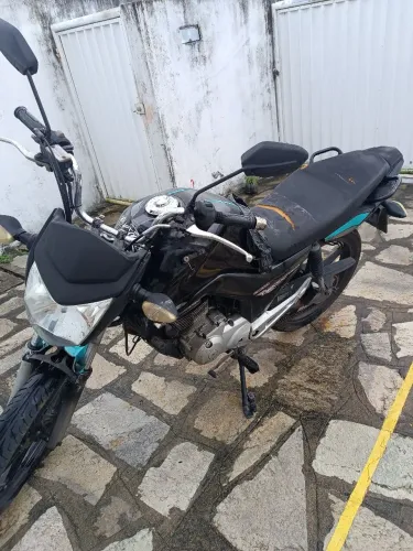 Fan 2015