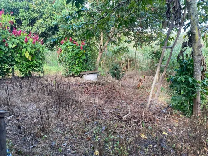 Vende se chácara em Rio manso Mg