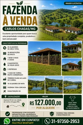 Fazenda Carlos Chagas/MG