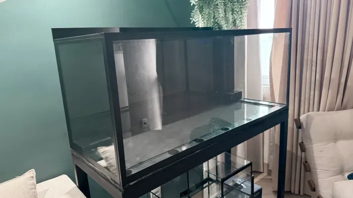 Aquario 