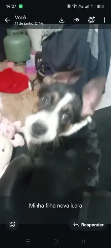 Doação 