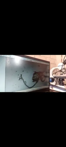 Microscópio monocular+ câmera para microscópio digital