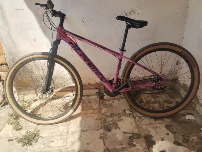 Bike aro 29