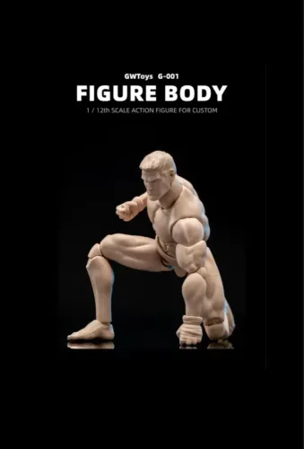 1/12 Action Figure Body GWtoys