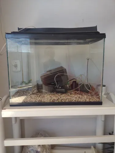 Vendo aguário 75 litros 