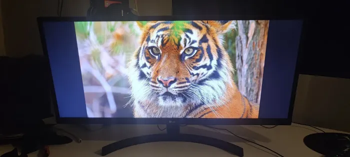 Monitor LG Ultrawide 29WK500 29 polegadas Full HD (2560 x 1080, 75Hz)