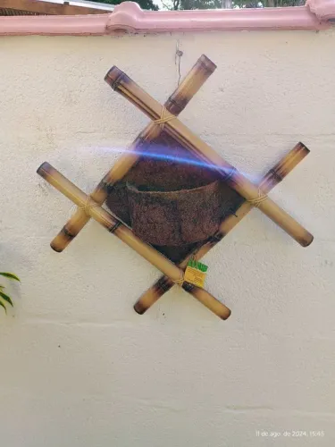 CACHEPÔ DE BAMBU ORQUÍDEA DECORAÇÃO JARDIM PRESENTE 