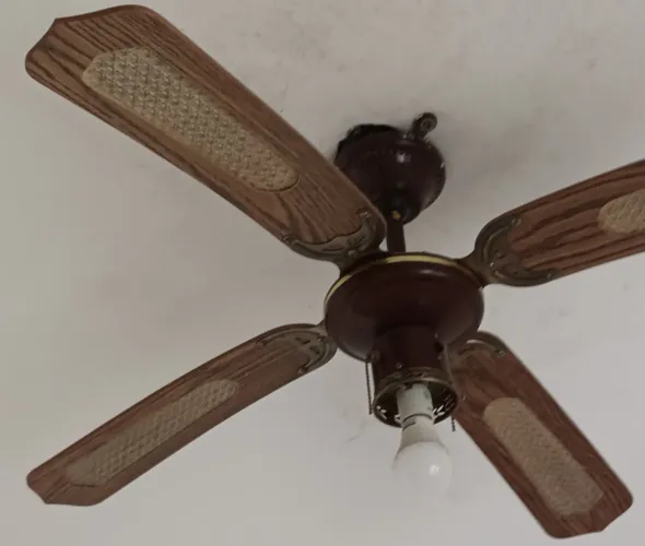 Ventilador Rebecca
