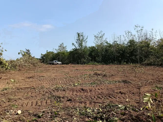 Fazenda de arrendamento 5.000 hec em Fátima no Tocantins