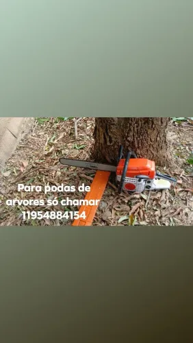 Podas e de arvores só chamar 
