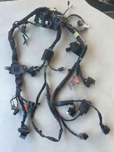 Chicote Principal Honda Cg Titan 160 23/24 Original 