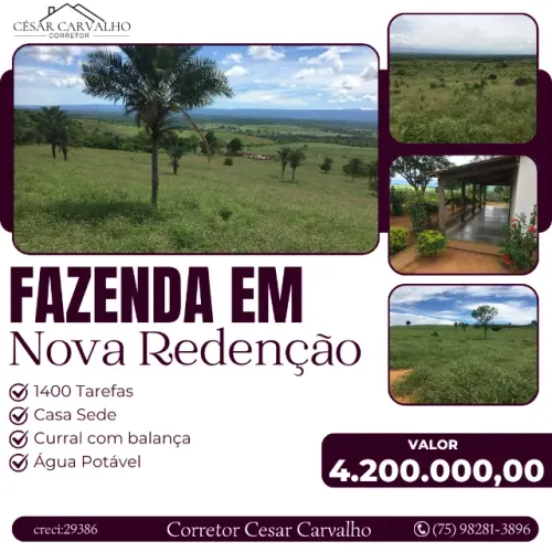 FAZENDA EM NOVA REDENÇÃO - 1400 TAREFAS
