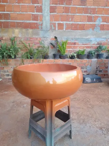 Bacia Elegance para plantas 
