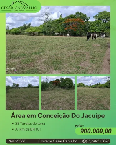 ÁREA EM CONCEIÇÃO DO JACUÍPE - 38 TAREFAS