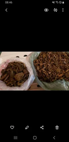 Raspas de própolis mista ( verde/marron)