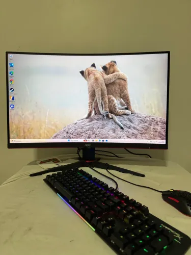 Monitor gamer