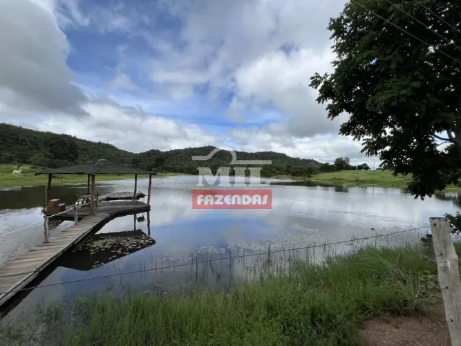 Fazenda Jussara/GO 30 ALQUEIRES (145 Hectares) Pecuária