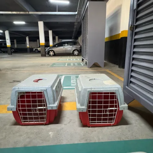 Caixa de transporte 
