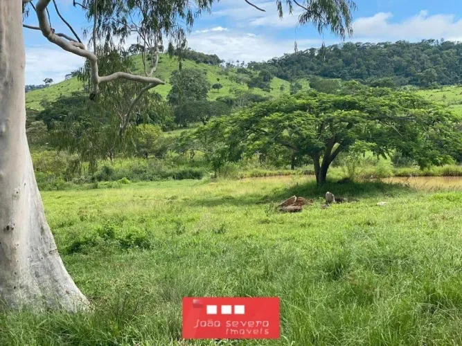 Fazenda para Venda em Itauçu