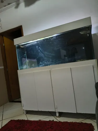 Aquário completo com bomba termostato 