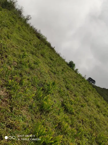 Vende se terreno de 27.000M² em Goncalves