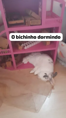 Casinha da barbie
