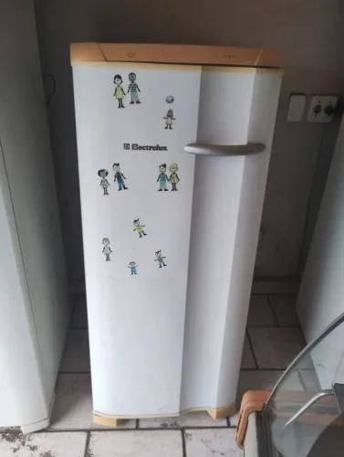 Freezer vertical Electrolux 