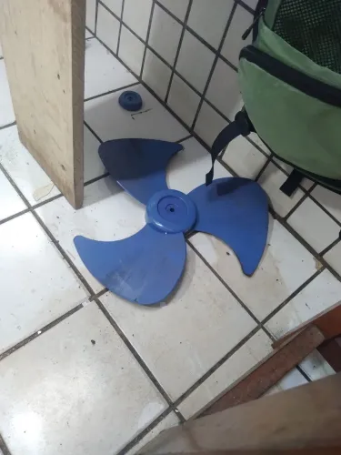 Elice três pas mondial