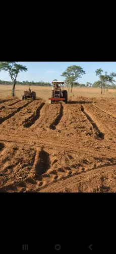Fazenda - em Buritis 180 Hectares vendo ou arrendo