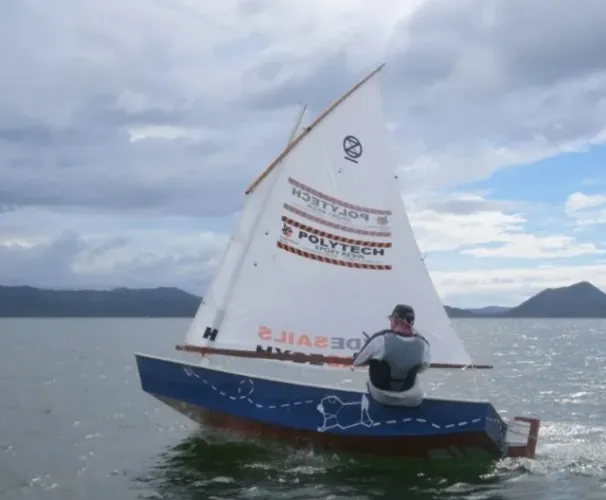 Vendo veleiro Oz Goose novo