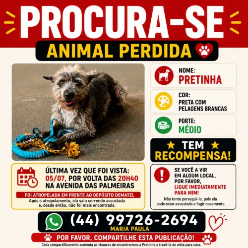 PROCURA-SE A PRETINHA