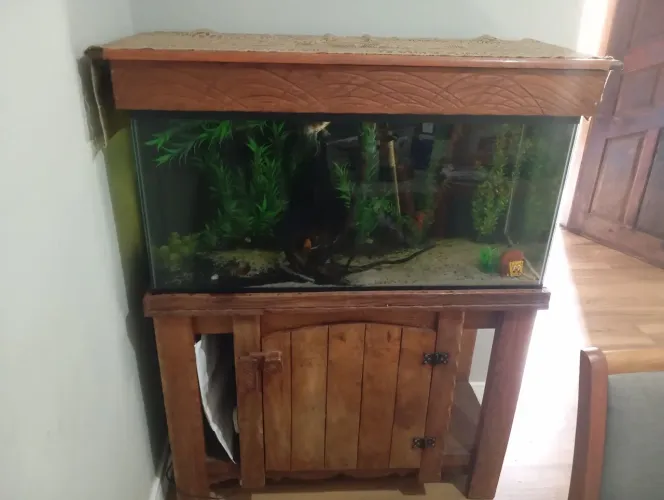 Aquário 200 litros
