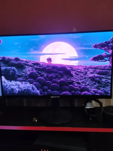 Monitor AOC