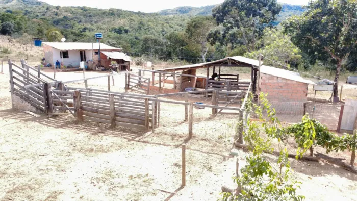 Fazenda 149 hectares valor 1.800.000 em Buritis mg